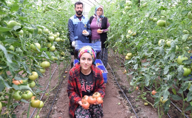 Türkiye'nin sebze meyve deposu Antalya'da kısıtlama sebze meyve üretimine engel olmadı