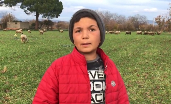 12 yaşındaki küçük çoban videolarındaki diyalogları ile sosyal medyanın yeni fenomeni oldu