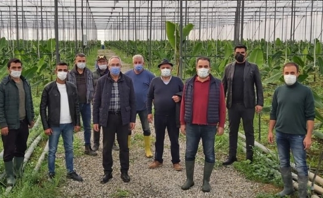 AK Partili Aydın muz üreticilerinin sorunlarını dinledi