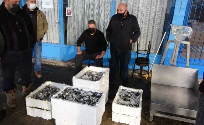 Balıkçılar gelecek yıl Karadeniz’de hamsi bolluğu bekliyor