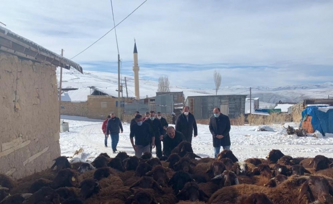 Bayburt’ta "Köyümde Yaşamak İçin Bir Sürü Nedenim Var Projesi" kapsamında çiftçilere koyunları teslim edildi