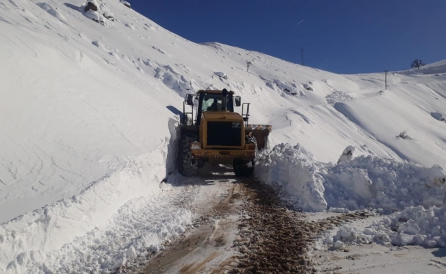 Diyarbakır’da karla mücadele çalışmaları sürüyor