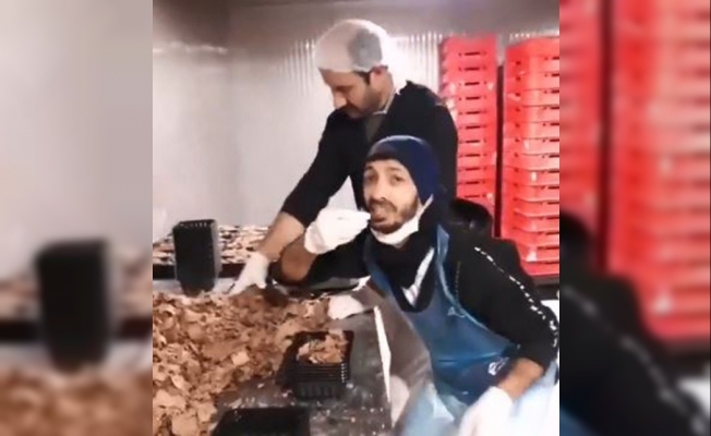 Döner paketlerken çekilen skandal görüntülere UDOFED’ten açıklama geldi