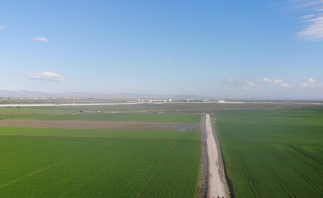 Hatay’da yağışlar, çiftçinin yüzünü güldürdü