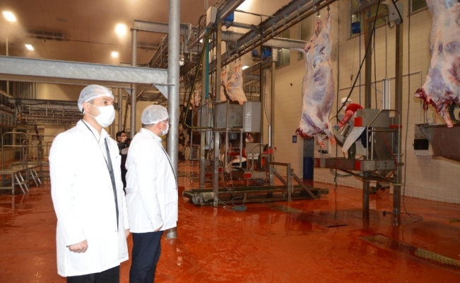 Kavurma ile marka olan Halk Et, hayvansal atıklardan sokak hayvanlarına mama üretecek