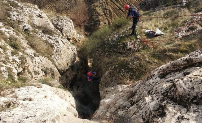 Kayaların arasında mahsur kalan 2 keçi kurtarıldı