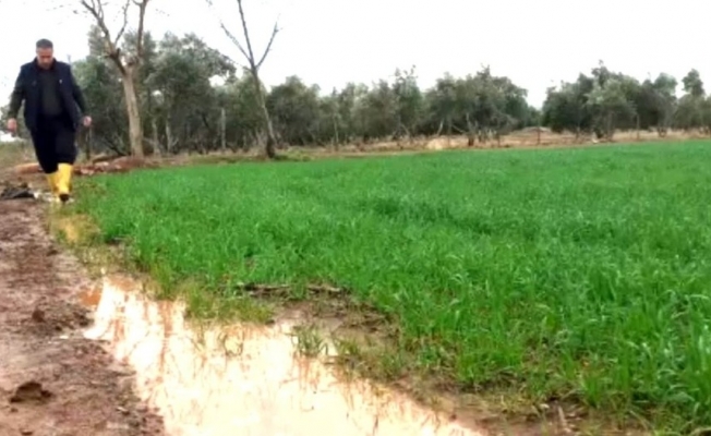 Kuraklık korkusu yaşayan çiftçinin yüzü yağmurla güldü