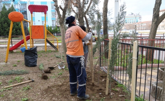 Turgutlu Belediyesinden Mimar Sinan Parkında ağaçlandırma çalışması