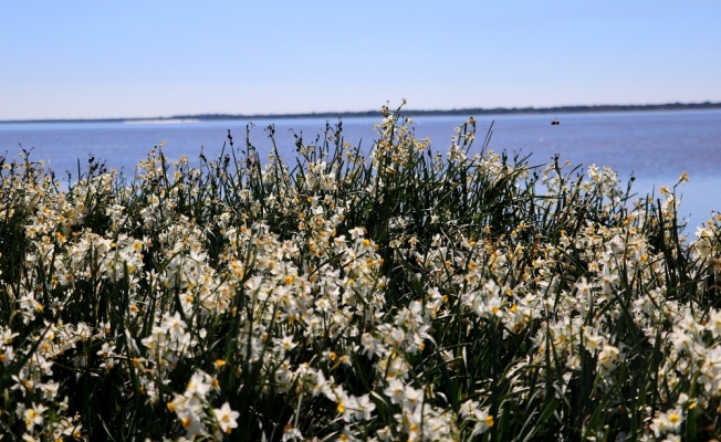 Adana’nın gizli cenneti: "Nergis Adası"