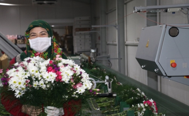 Antalya’nın 2021 yılı çiçek ihracatı hedefi 60 milyon dolar