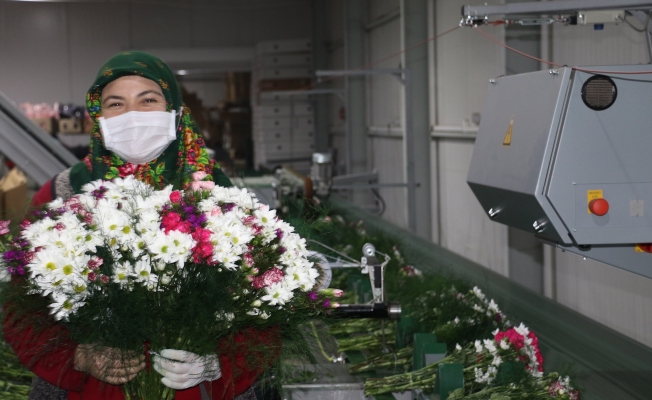  Antalya’nın 2021 yılı çiçek ihracatı hedefi 60 milyon dolar