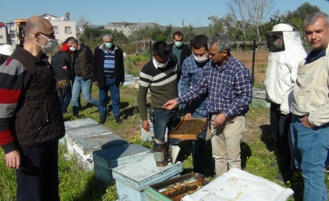 Arıcılara kış uykusundan uyanan arılarla uygulamalı eğitim
