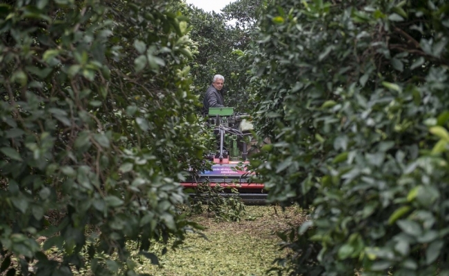 Bu makineyle bitkisel atıklar, toprağa doğal gübre olarak kazandırılacak