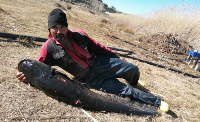 Burdur’un Gölhisar Gölü’nde ağa, rekor büyüklükte yayın balığı takıldı