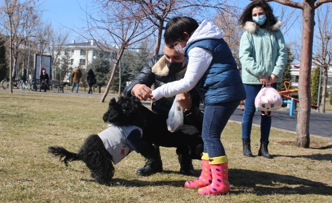 Güneşi gören parklara döküldü