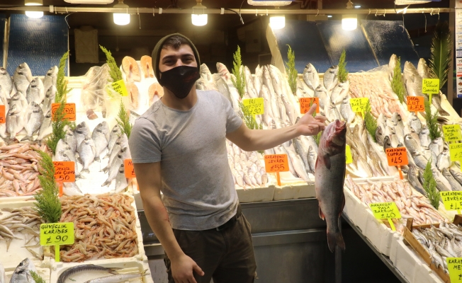  Hamsiye gelen av yasağı tüm balıkları etkiledi