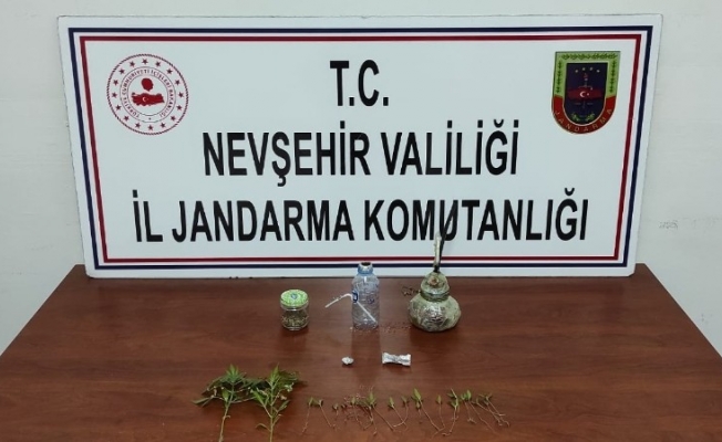 Jandarmadan uyuşturucu operasyonu