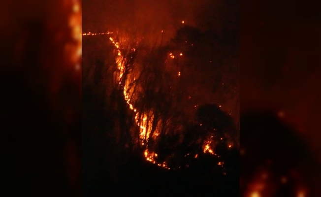 Japonya’da 3 gündür süren yangında, 50 hektarlık alan kül oldu