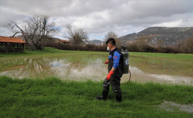 Karabağlar’da 350 hektar sulak alanda vektör mücadelesi