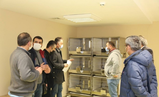 KBÜ DETUM ekibi ‘MEDİTAM’ ve ‘REMER´de incelemelerde bulundu