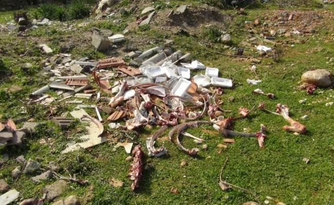 Manavgat’taki hayvan atıkları tepki çekti