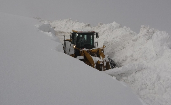 Muş’ta iş makinelerinin 5-6 metrelik karla mücadelesi