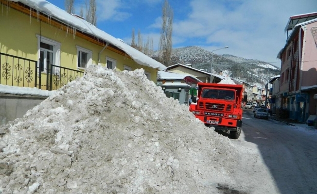 Posof’ta  kar hayatı olumsuz etkiliyor