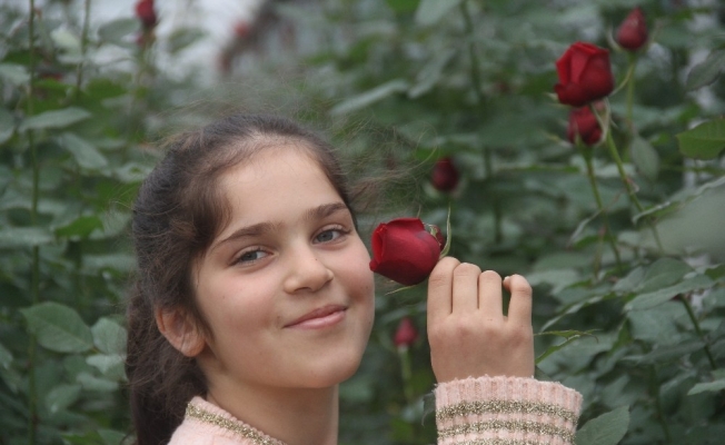 Rus sevgililerin "gülü" Adana’dan