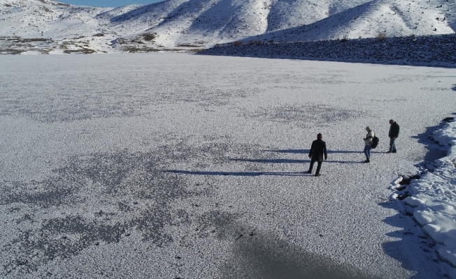 Sibirya soğuklarının etkisiyle dondu, kırağı ile gözden kayboldu