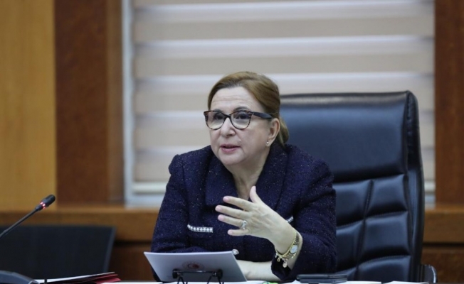 Ticaret Bakanı Pekcan, Kuzey Makedonya Ekonomi Bakanı Bektshi ile görüştü