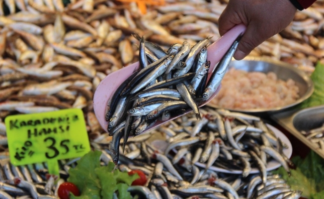 Yasak kalkınca hamsi tezgahlardaki yerini aldı
