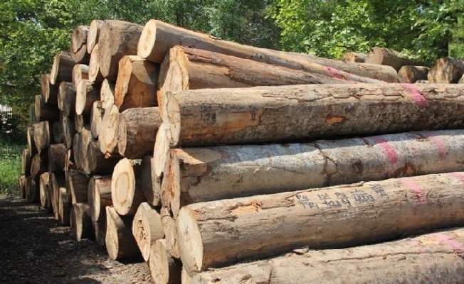 Yenice’de orman emvali satışında rekor kırıldı