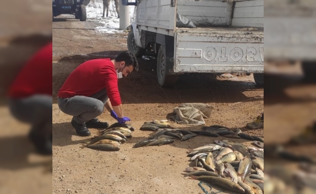 Yumurtlama dönemindeki balıkları avlayanlara 6 bin 400 TL ceza