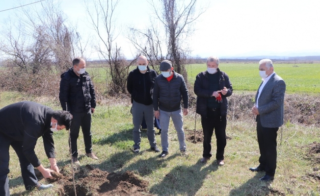 2005’ten bu yana şehitler için fidan dikiyorlar