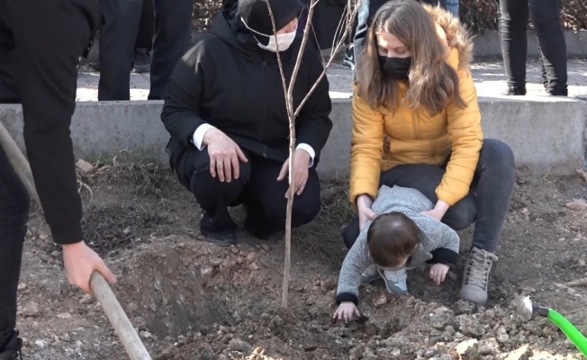 2 yaşındaki Hızır Efe babasının öldürdüğü annesi adına dikilen ağaca toprak atması yürekleri dağladı