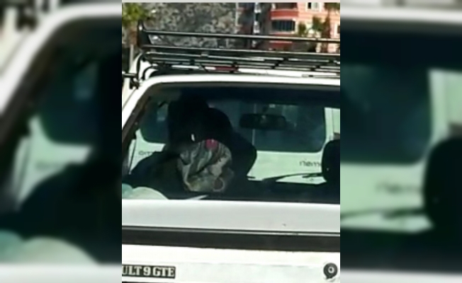 Arabadaki kadın şiddeti sürücüleri şok etti