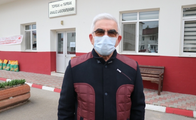 Arılar üşüme tehlikesiyle karşı karşıya