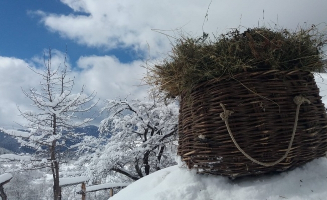 Artvin’de büyüleyen kış manzaraları