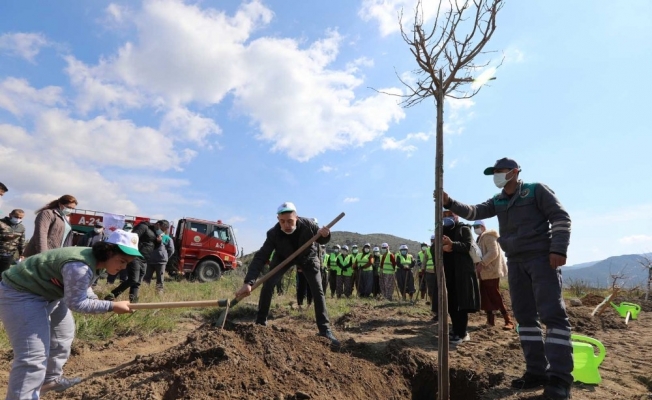 Bakan Pakdemirli, dut ormanı isteyen otizmli çocukları kırmadı