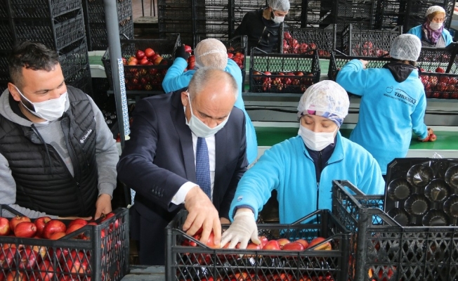 Başkan Öztürk; “Elma üreticilerinin sorunlarını çözmek istiyoruz”