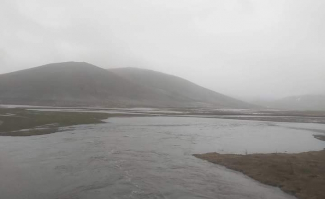 Bin 500 rakımlı yaylada sağanak sonrası menderesler taştı