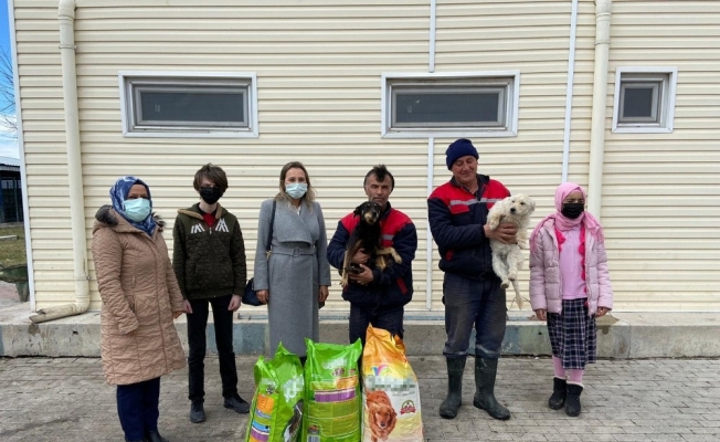 Bir ton atık kağıt toplayıp hayvanlara can oldular