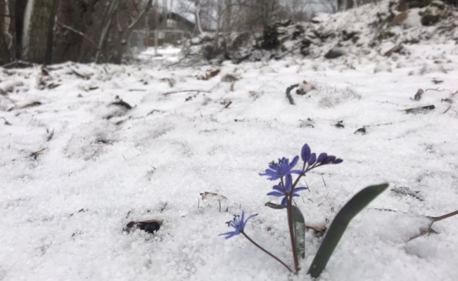 Bozdağ’da kar yağışı