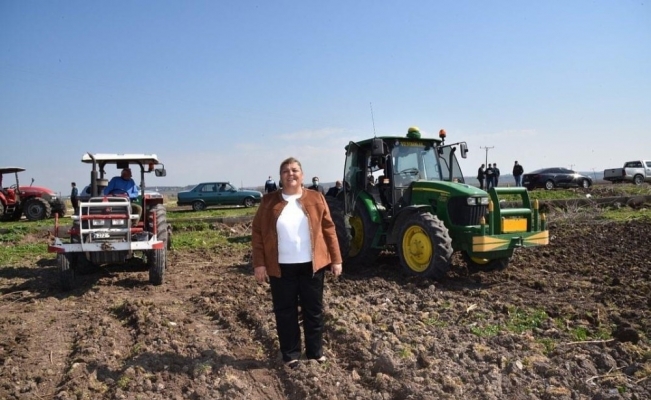 Ceyhan Belediyesi mısır üretimine başladı