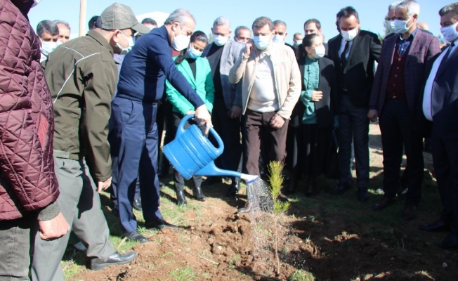 Diyarbakır hipodromu 44 bin ağaçla yeşillendirildi