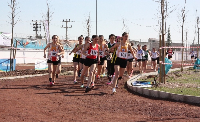 Diyarbakır’da 20 yıl sonra kros şampiyonası düzenlendi