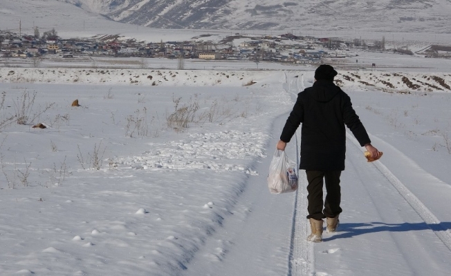 Doktora öğrencisi yabani hayvanlar için doğaya yem bırakıyor