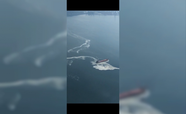 Gemlik Körfezi’nde kirlilik alarmı