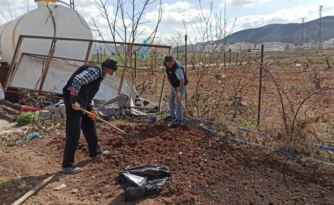 Gercüş’te bağ bahçe budama dönemi başladı