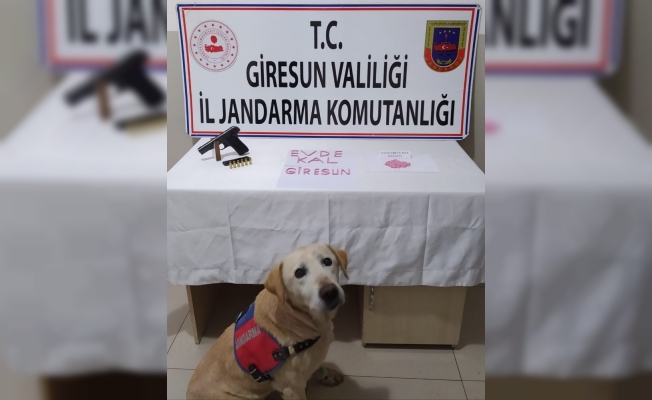 Giresun’da 220 adet uyuşturucu hap ele geçirildi